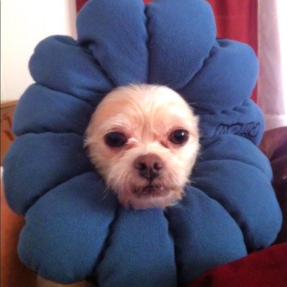 🌟❤️JEFFERSON❤️🌟 - Picture 3 of 13